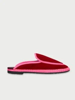 Bruna Rosso|Flabelus New