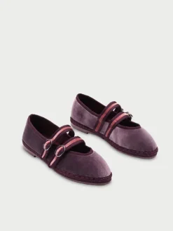 Claire Amethyst|Flabelus Online