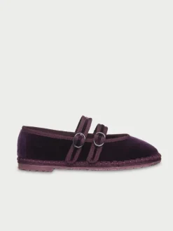 Claire Aubergine|Flabelus New