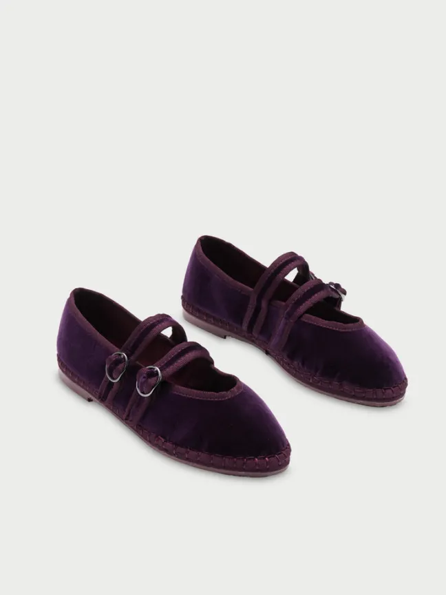 Claire Aubergine|Flabelus New