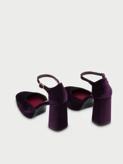 Flamenco Aubergine|Flabelus