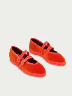 Lady Claire Orange|Flabelus