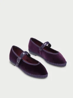 Pierre Dark Purple|Flabelus New