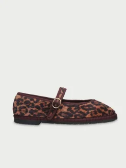 Pierre Feline Brown|Flabelus