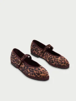 Pierre Feline Brown|Flabelus