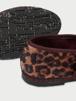 Pierre Feline Brown|Flabelus