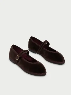 Pierre Truffle|Flabelus