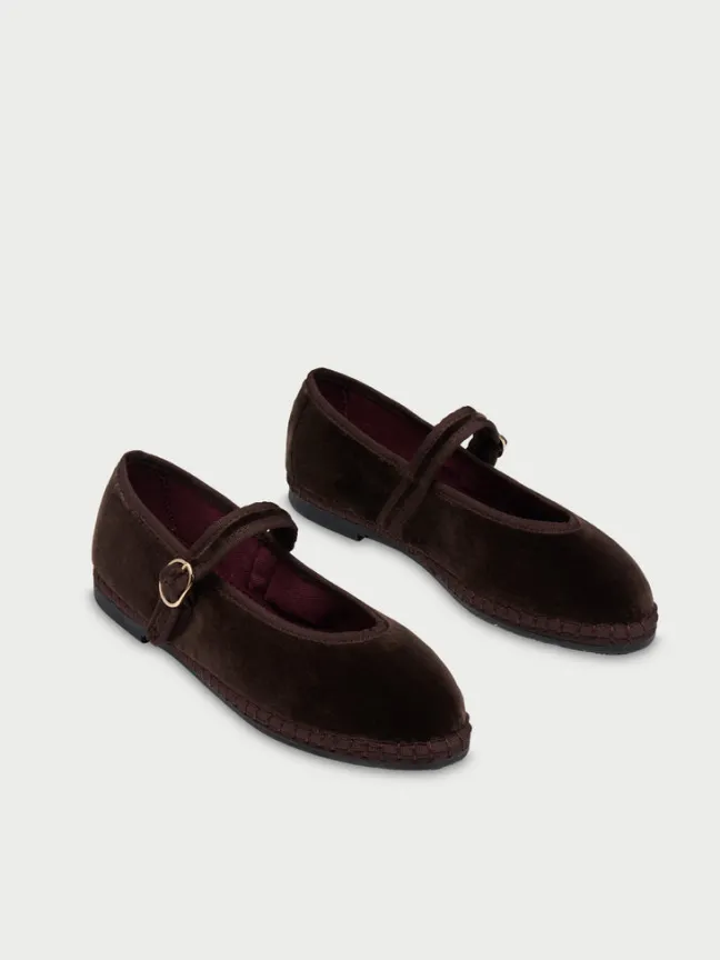 Pierre Truffle|Flabelus