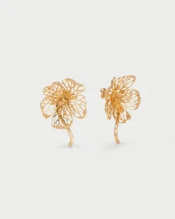 Ume Gold|Flabelus Clearance